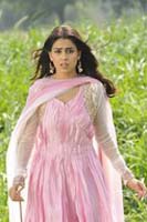 Genelia DSouza Pictures